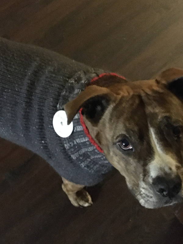 15678531-A186-4C86-991F-09ED2EEA3C64