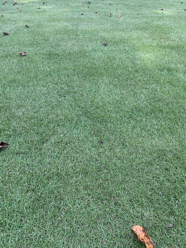 814C9DD0-DCB5-4A0A-BE10-184744359621