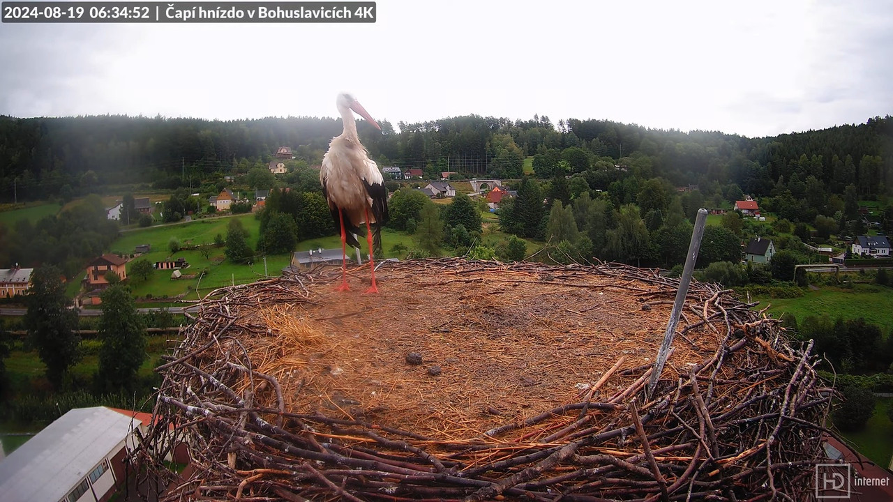 Živě z čapího komína firmy KARA v Bohuslavicích u Trutnova 7-27-4 screenshot