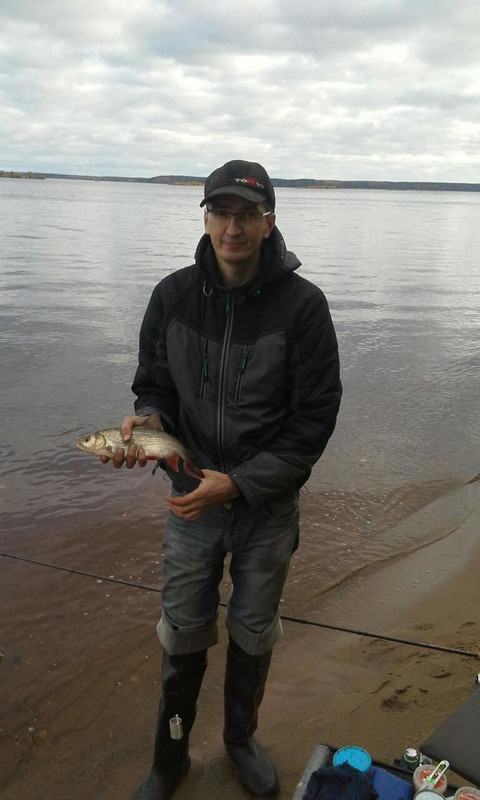 изображение viber1