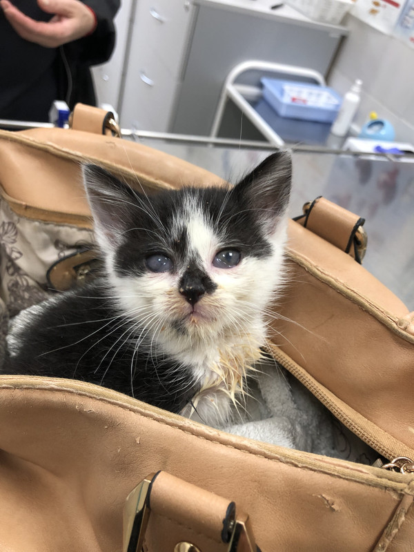 7ABA7537-58EF-4428-BA92-FCF35A291ED5