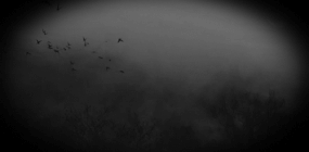 https://i.postimg.cc/66fJVgZ0/ezgif-com-resize.gif