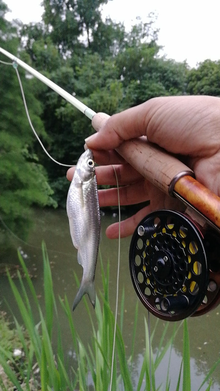 wx_camera_1557656751447