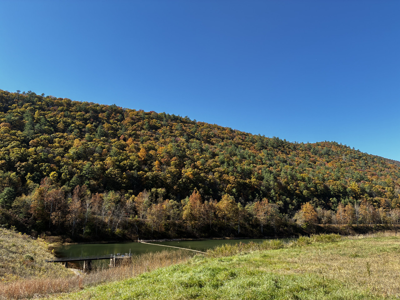 IMG-1121.jpg