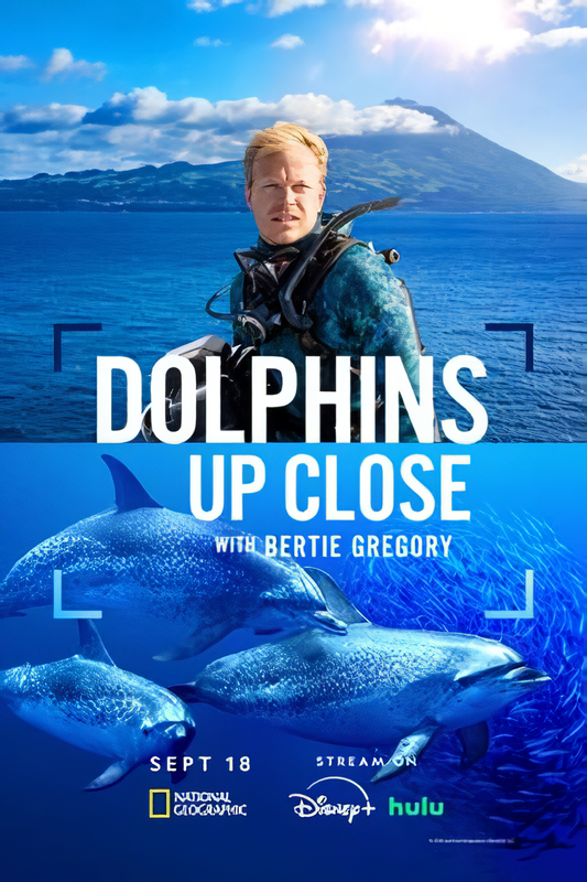 A delfinek világa Bertie Gregoryval