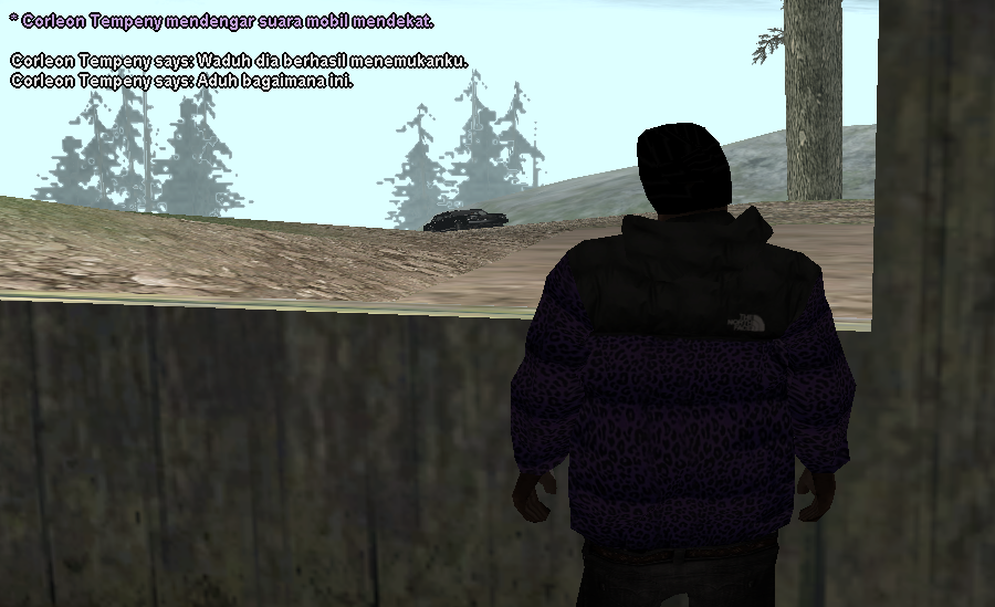 ss-ck-11.png