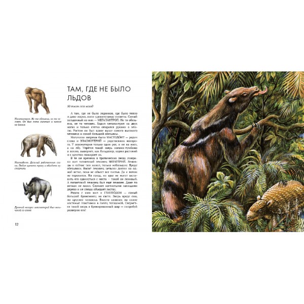 EF761148B26AA684566095163FD328B803D6A4FB9EDCBD15B4374520D342BD17