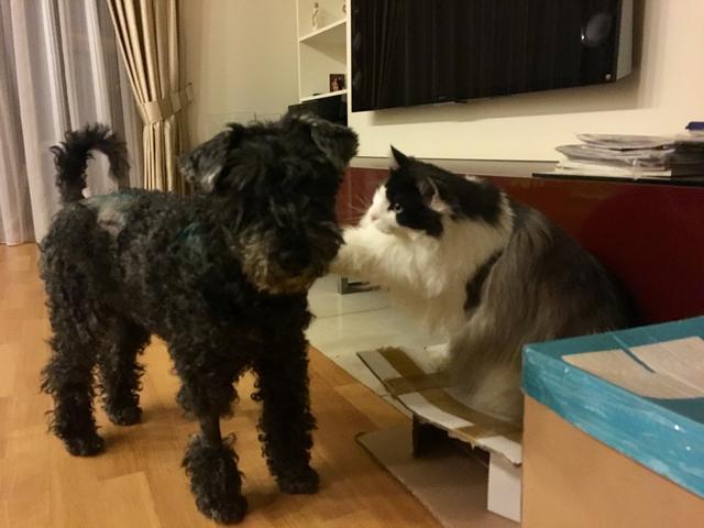 2-EF748-A0-0-F1-A-4403-9429-059-E241-C4-