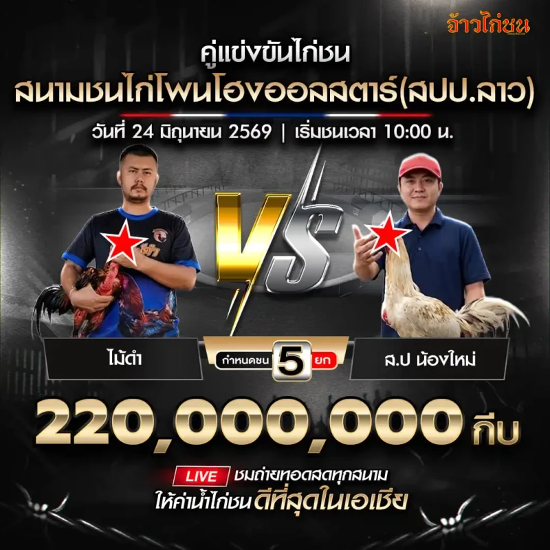 ไม้ดำ vs ส.ป น้องใหม่ สนามชนไก่โพนโฮงออลสตาร์ 24 มิถุนายน 2569
