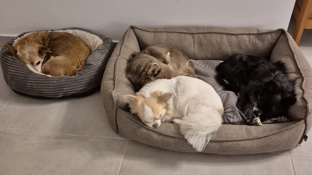 [Image: 2684710937191757833.jpg]