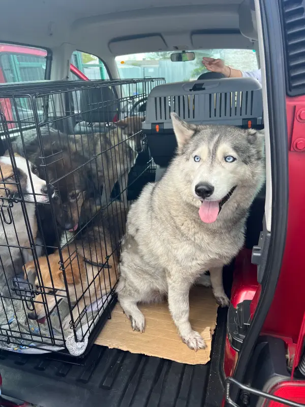 b8n6ekLhhsVRzhds6zdQYOnGmeobAdQjOwyQWNwFGZCJzeRJG2jUasxKeMb6aQFc_n8FRsfclSUHiUIo7QWmifZ6