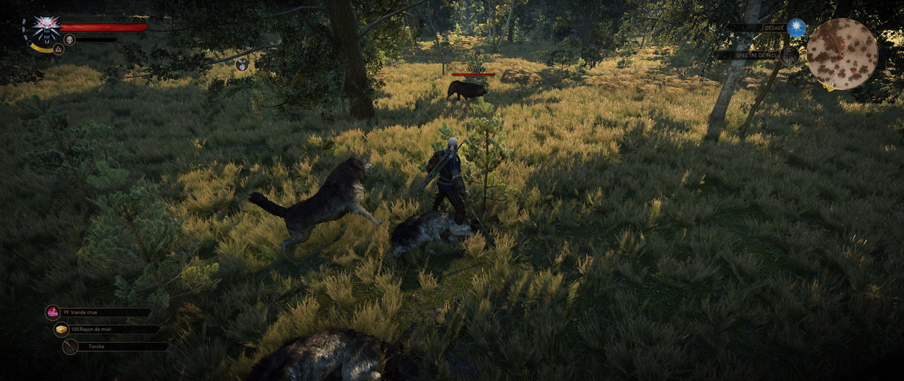 witcher3 2018-04-20 18-08-54