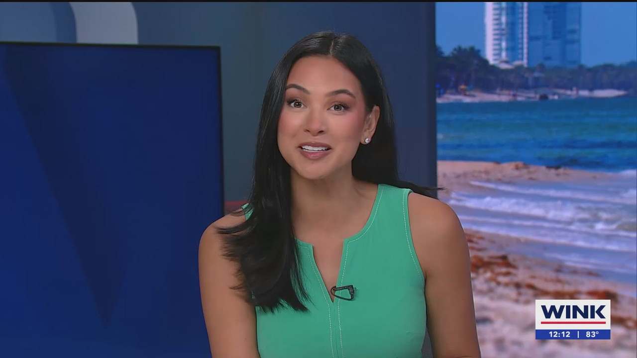 07.02 - 17.00.00 - The WINK Noon News  ᴺᵉʷ. Midday news update..ts_snapshot_13.58.186