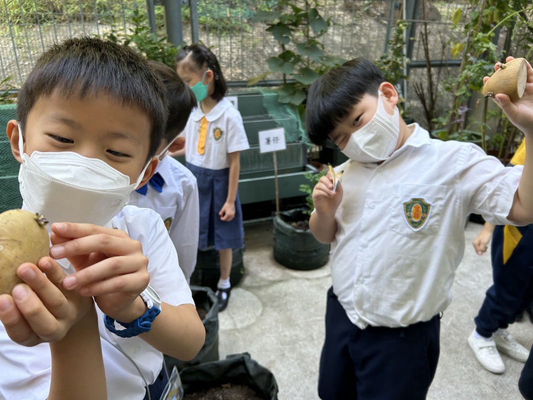 photo-littlefarmer2223-2A-001