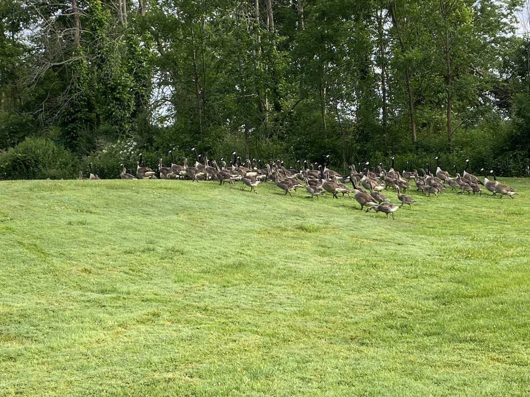 B004E320-B69B-47B1-97B4-32D3713458C6