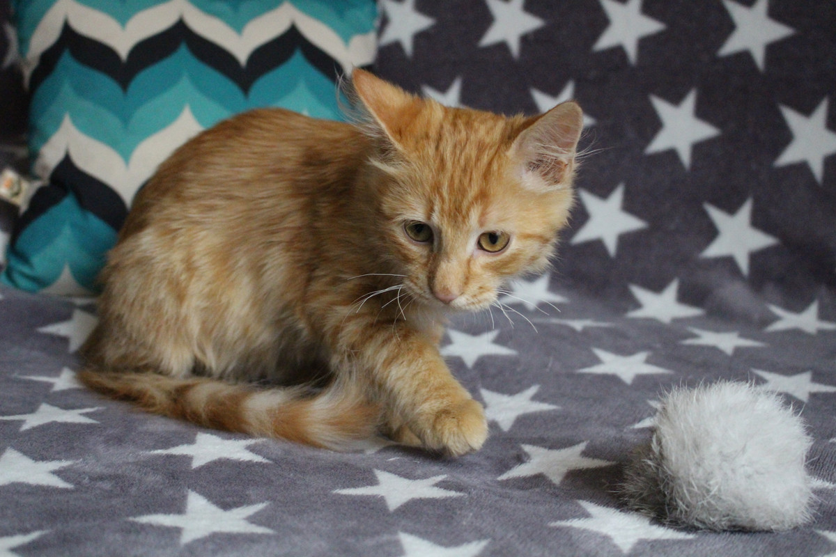 AE6257EF-A157-4E73-B991-4C9CD449F73C