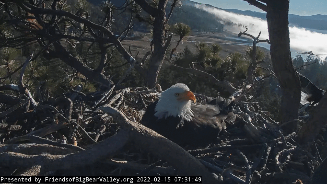 Webp.net-gifmaker (4)