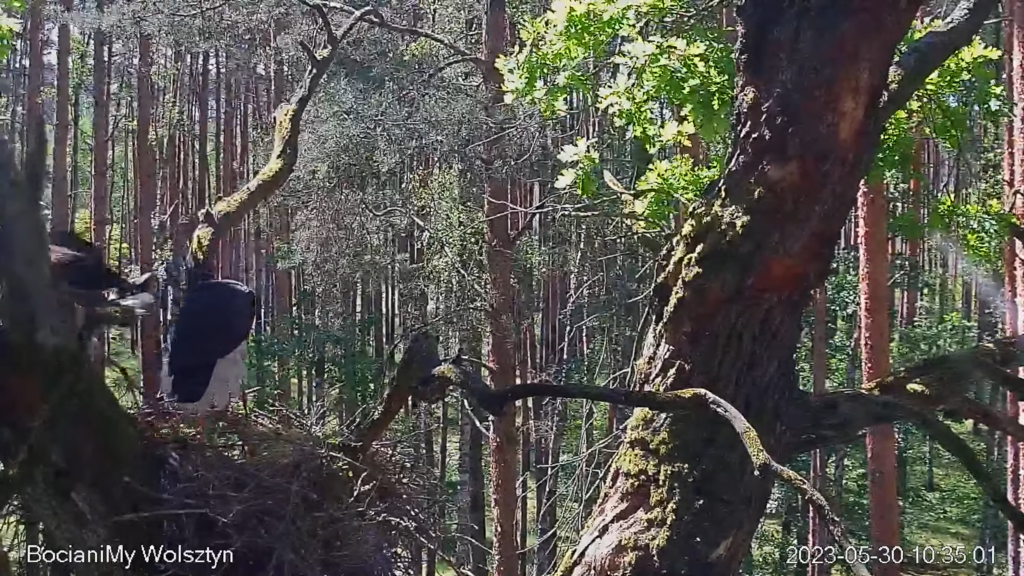 Zrzut ekranu (15788)