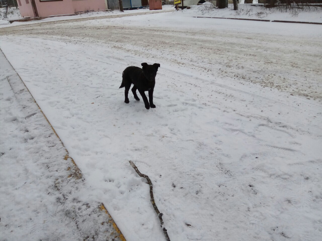 0463EF6A-03F4-4803-89E7-50C6E1FF20CE