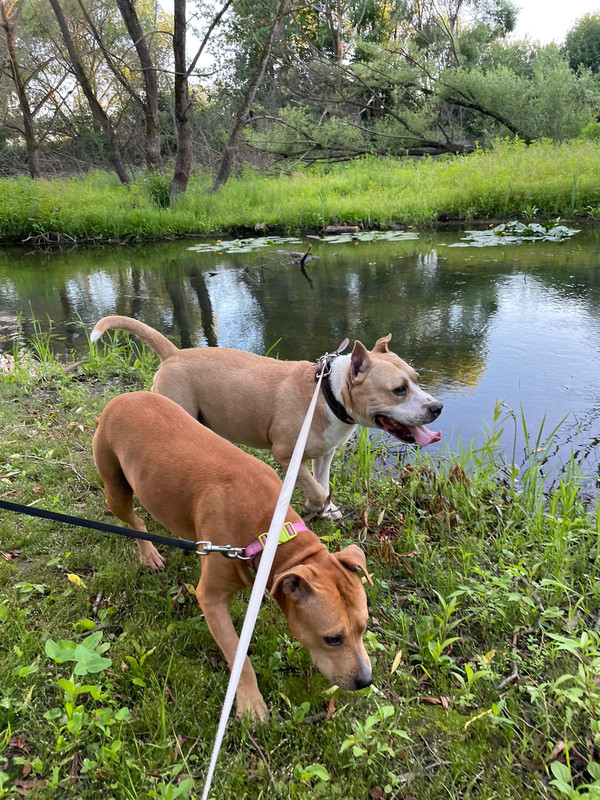 F144714A-BBD0-4FD3-893E-FFE6357D9A7C