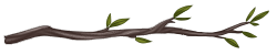 Divider-Branch2.png