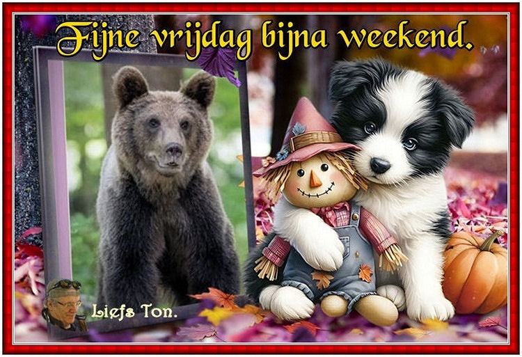 www.krabbelplaatjes.com