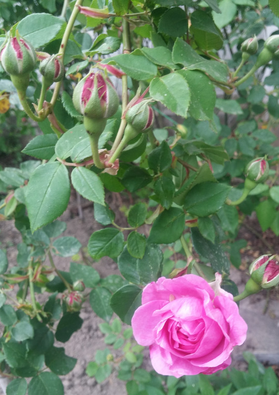 20190425_174343