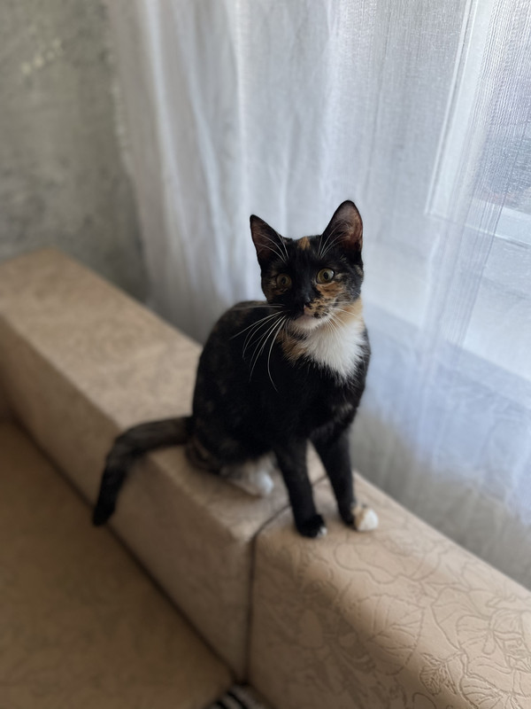 4936BF64-B1BE-4010-A81B-CD8D989706BA