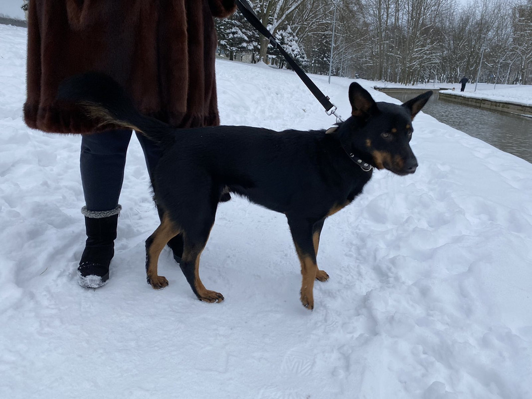 2516A7AE-5D61-4970-A019-E422070C4EB2