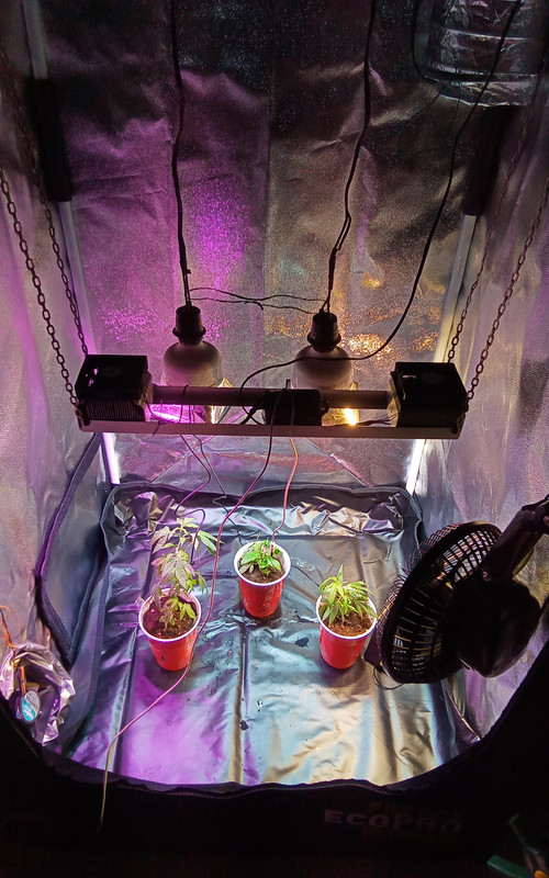 IMG_20211210_220836_219