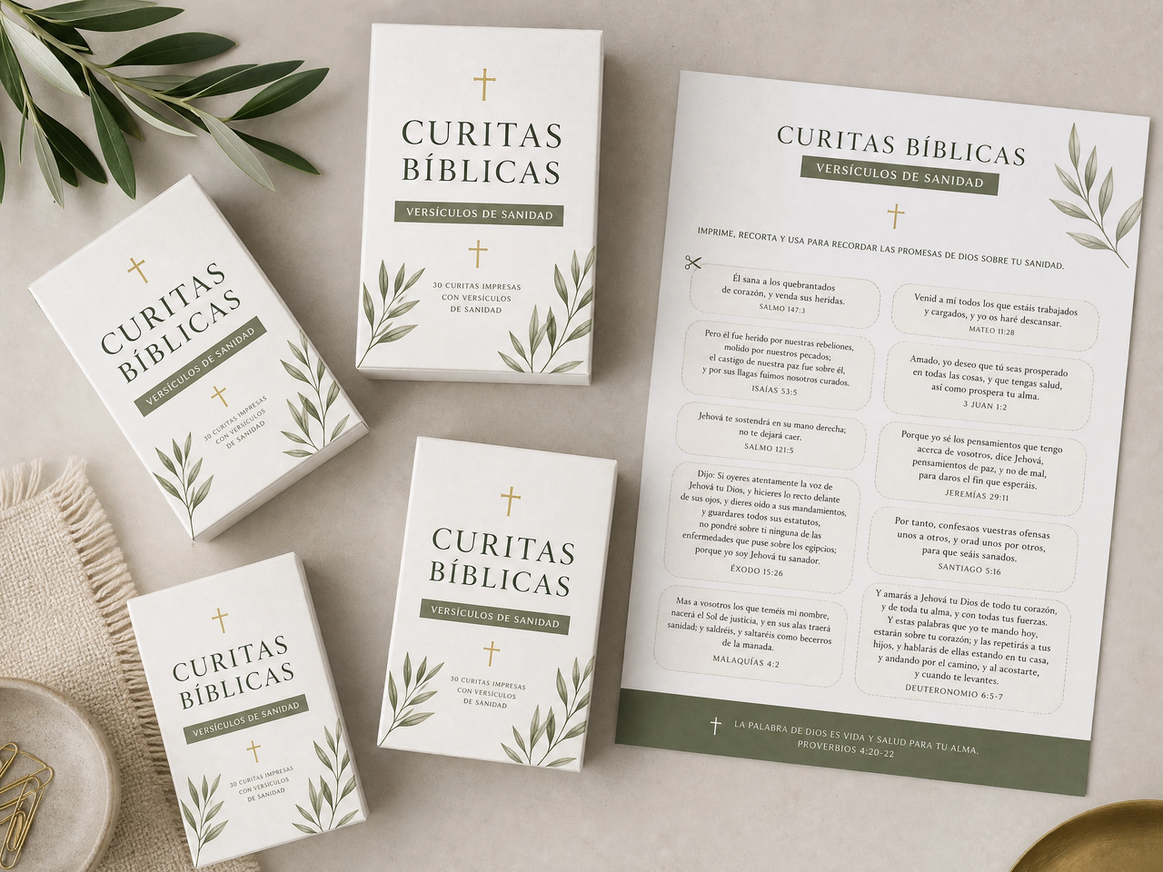 Curitas Bíblicas