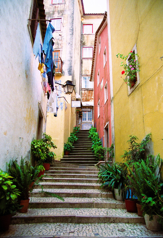 p3.jpg