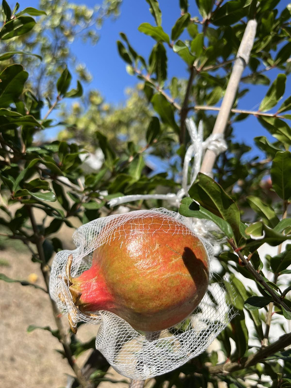 0-02-05-56df6ed3f85ce04a35cb7094580176e7700050f271fb529f5a9bcc76f213708f_a601f623bf0a89f1