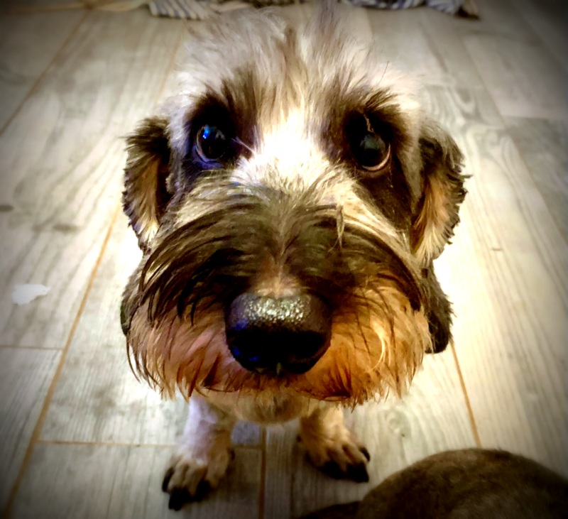 [Image: IMG-2243.jpg]