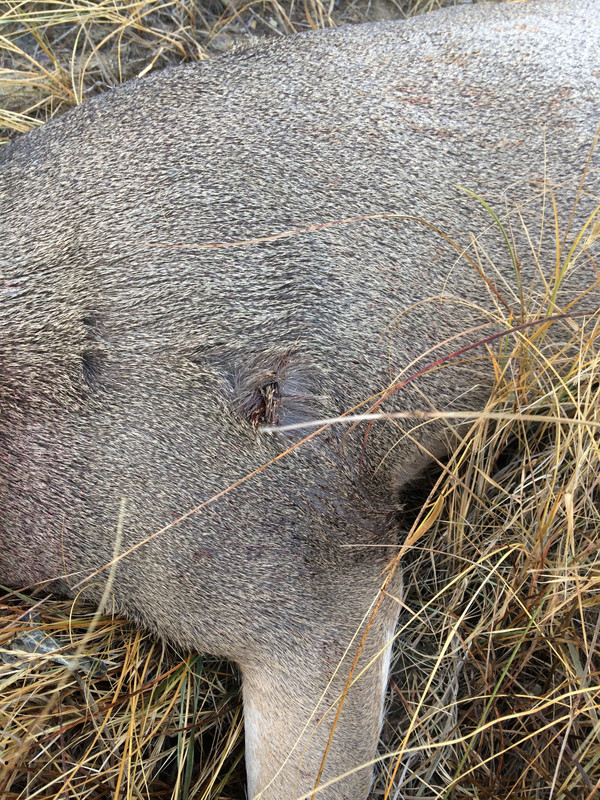 2094775A-C0C8-41F1-8B95-50EC06D23ECC