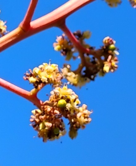 IMG 20260107 154414256 2