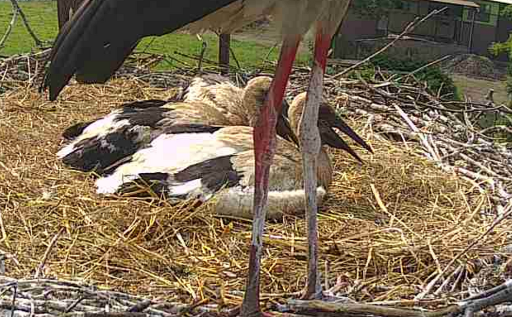 2019-06-14 15_37_40-https___www.drakknet.cz_capionline2__param1=