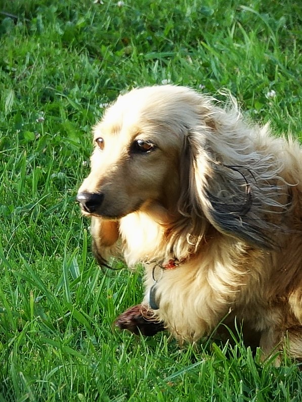 [Image: Norma-12.jpg]