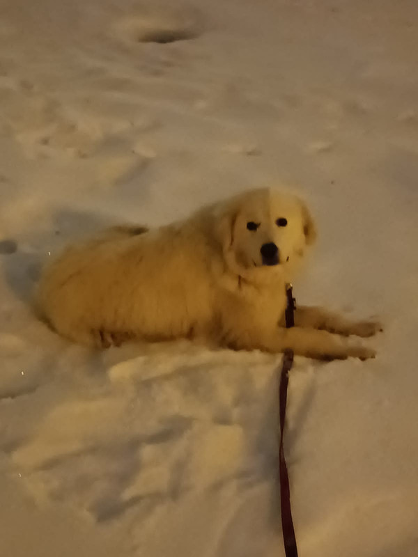 C8EBFAD0-588F-493F-B8E4-67734AECE237