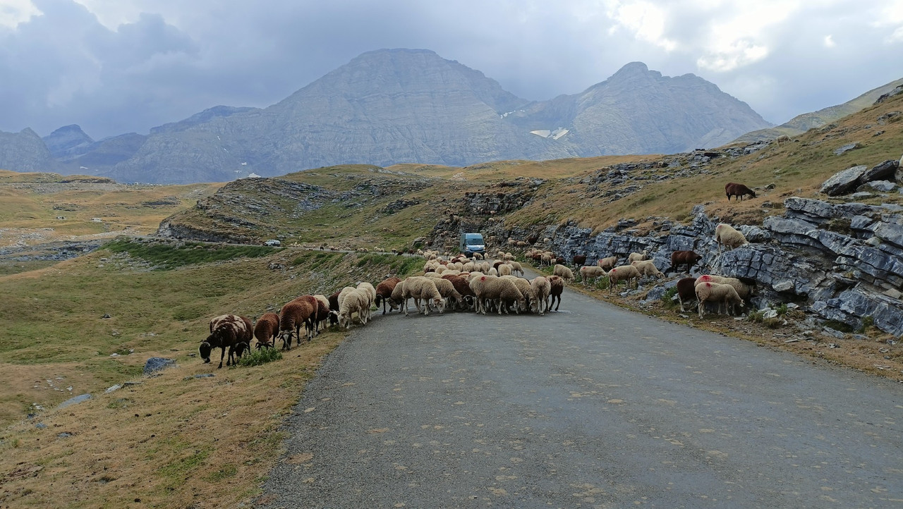 IMG20250814142317 (Large)