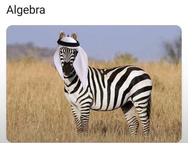52803996-291990934806659-6051840190893233665-n.jpg