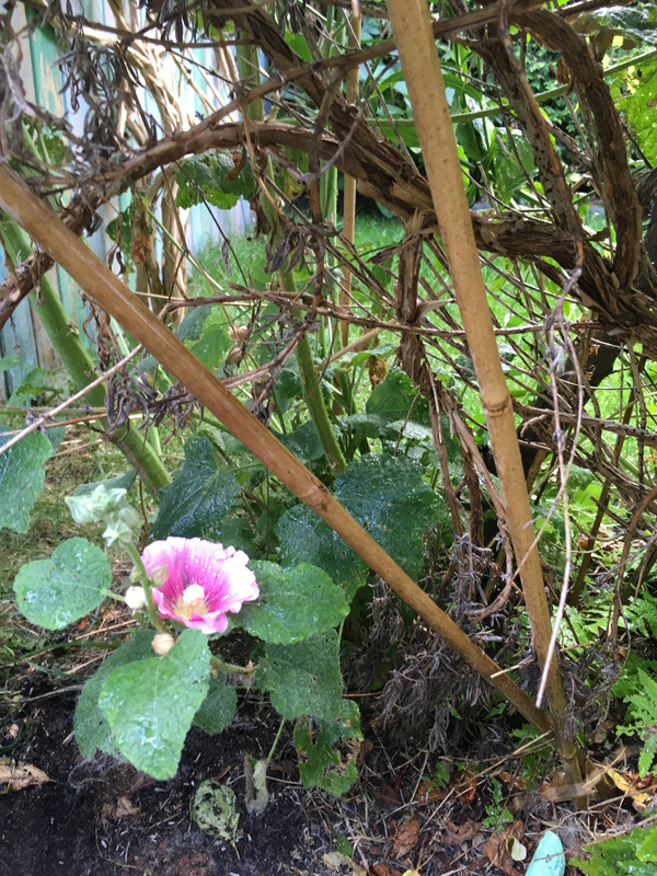 05145157-98B9-42DD-A2DB-00ED85E480F2