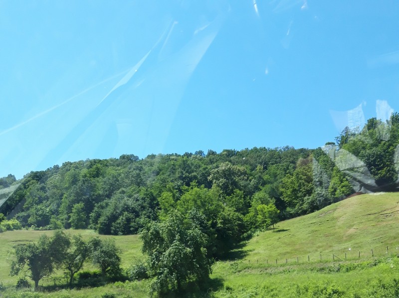 Slika