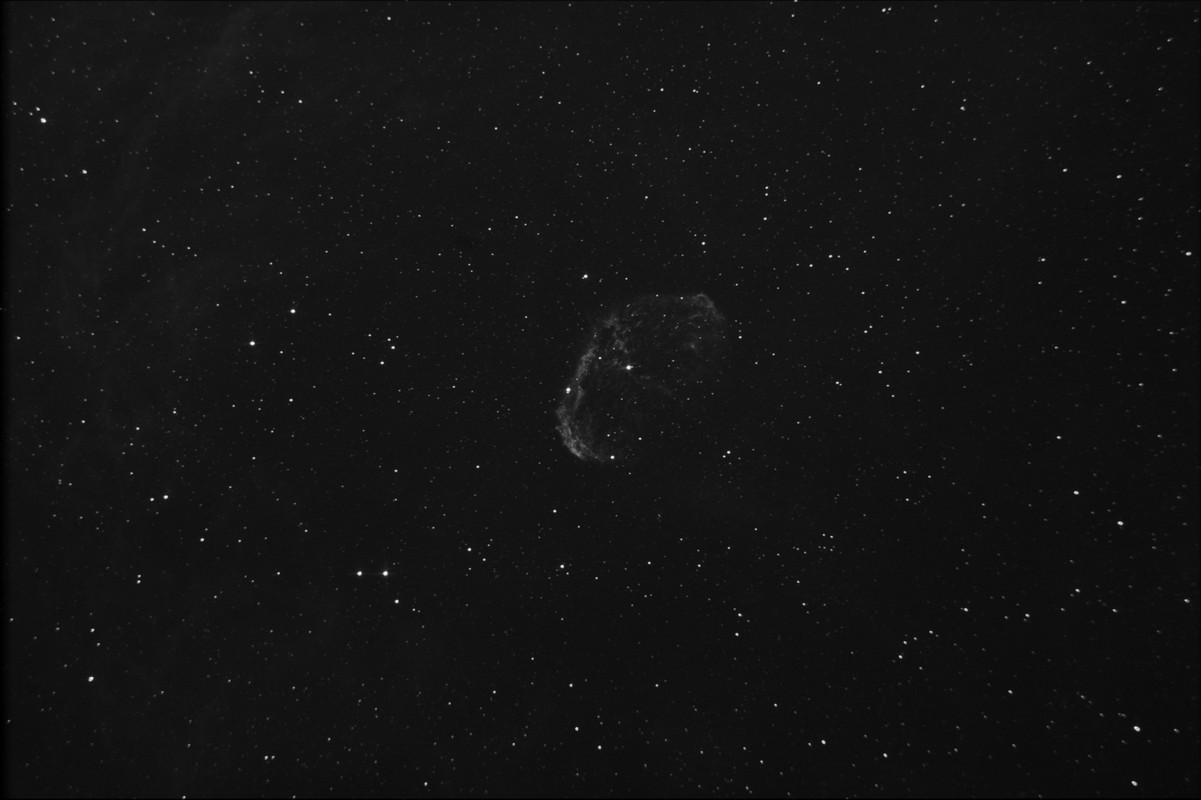 sin flats jpg (1 von 1)