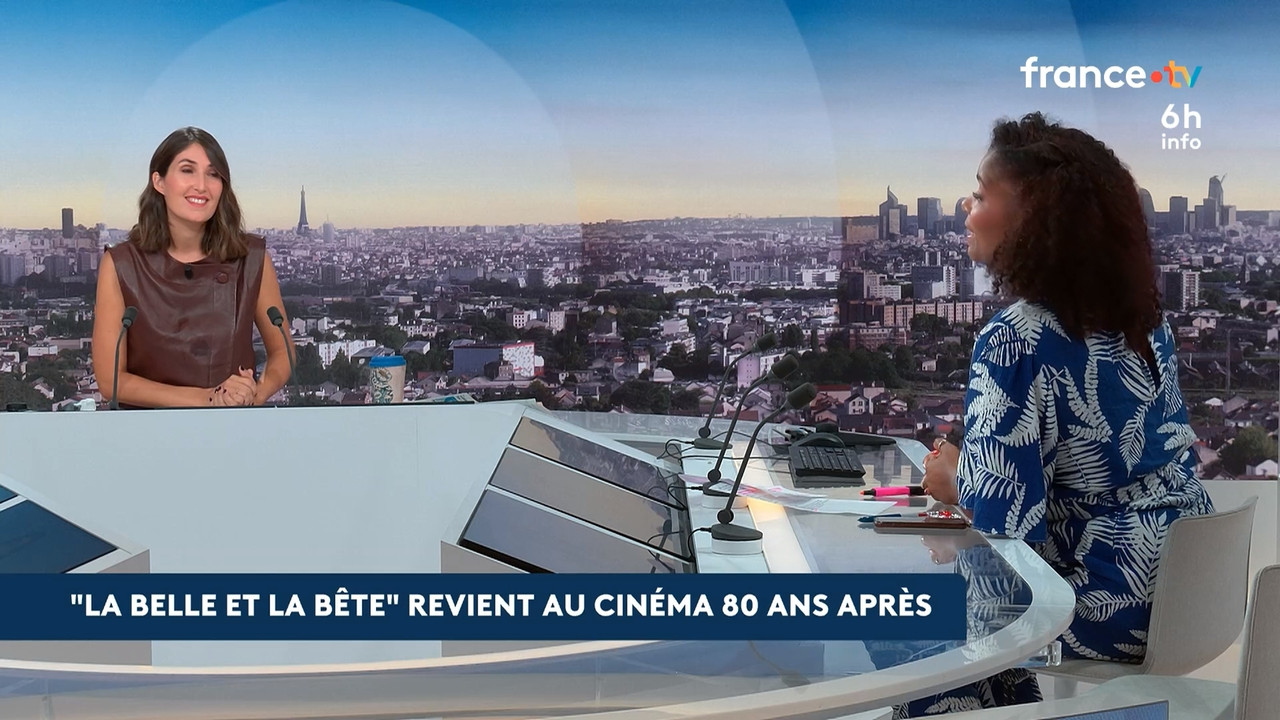 Le 6h info (France 2) 2026 09 16 04 55 88 ts snapshot 24 12 500