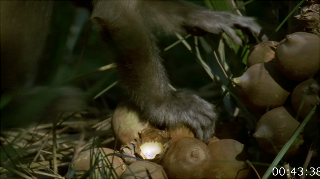 [Image: sqdidin1s125.png]