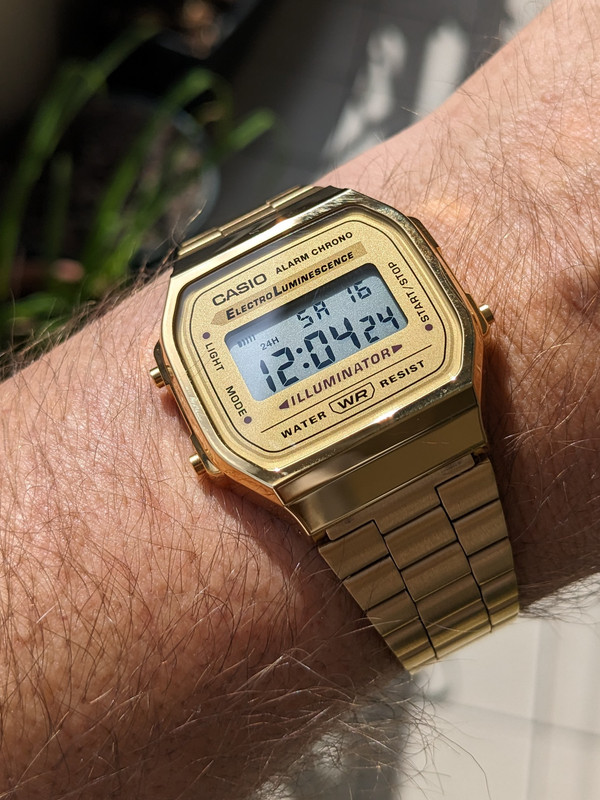 Feu de vos Casio - Page 21 PXL-20230916-100436919-2