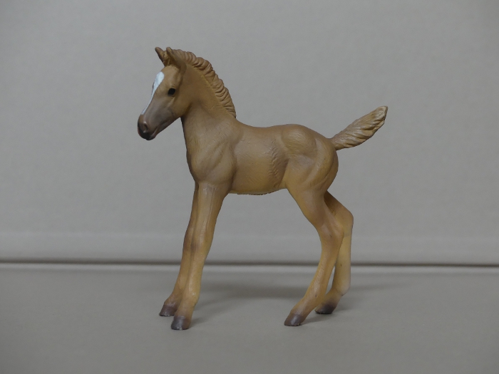 Pictures for Toy Animal Wiki - Page 14 Haflinger-Foal-Standing