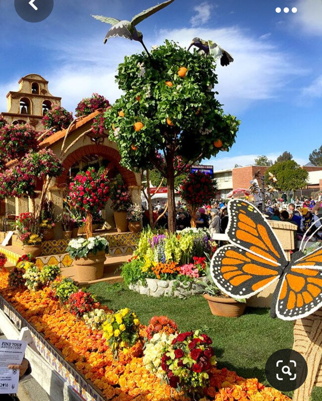 Screenshot_20231005_212440_Pinterest