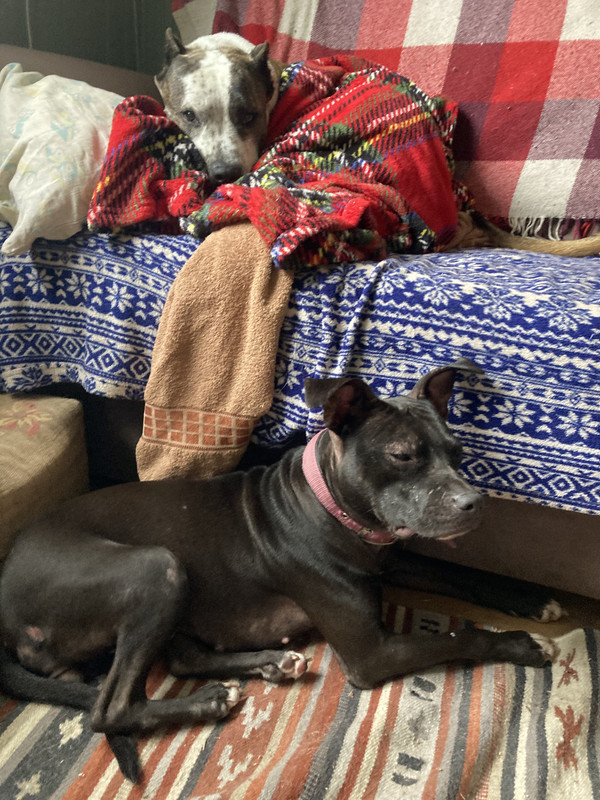 952A94E8-1031-4504-9686-9A0A7416CA92